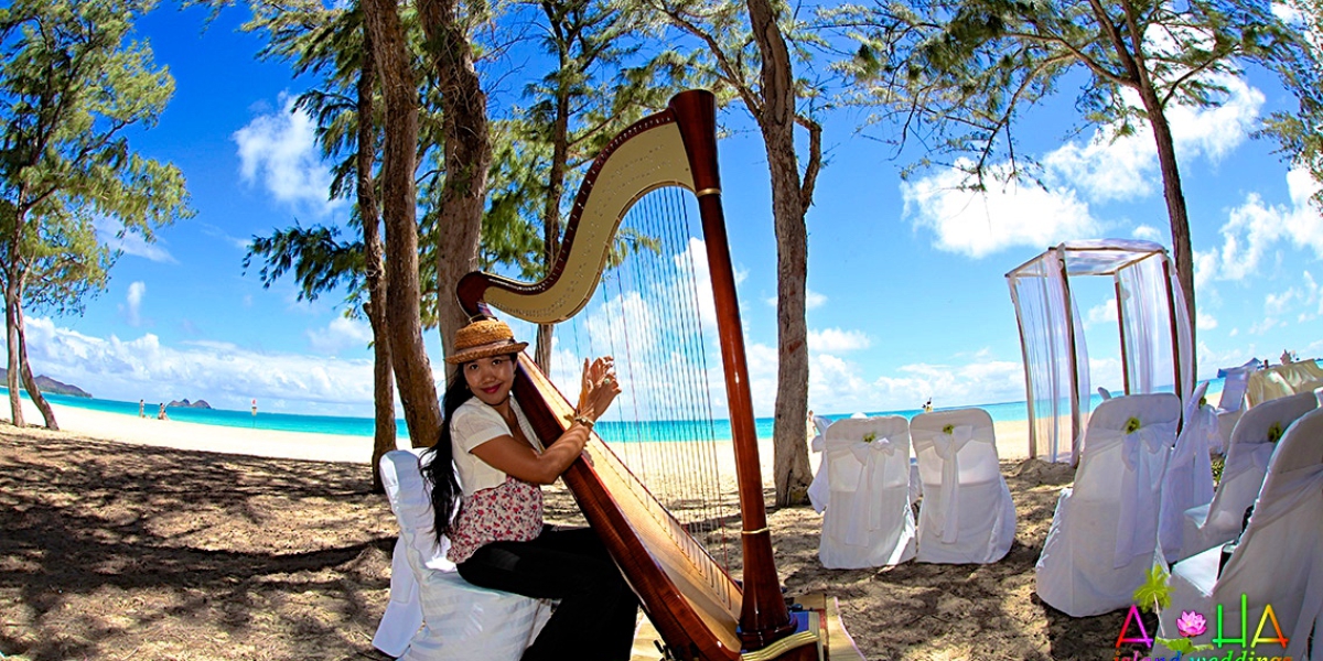Dewi plays the large concert harp on the beach at Waimanalo